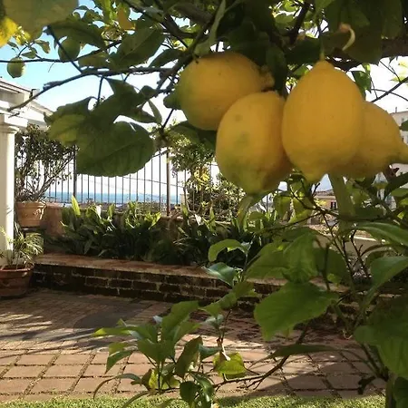 Bed & Breakfast Avenia Salerno