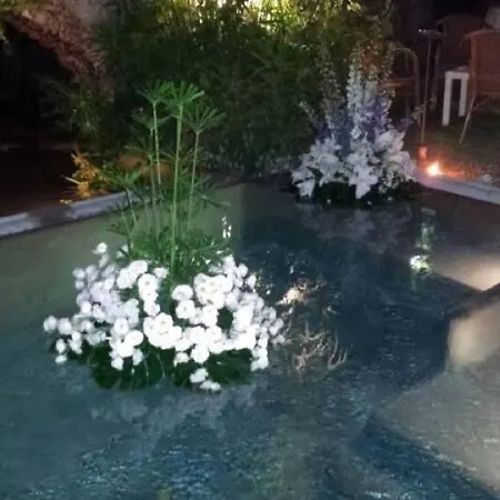 Bed & Breakfast Avenia *